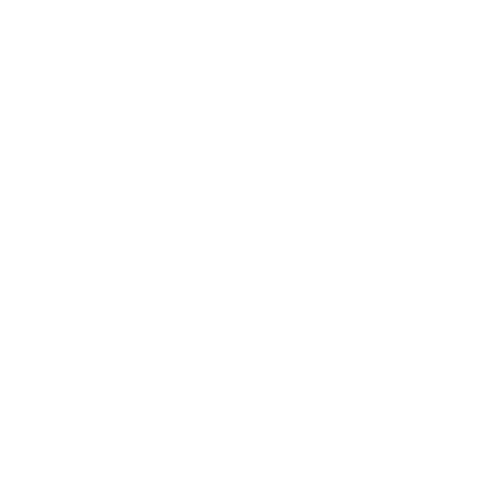 Shilstone Logo White 2x