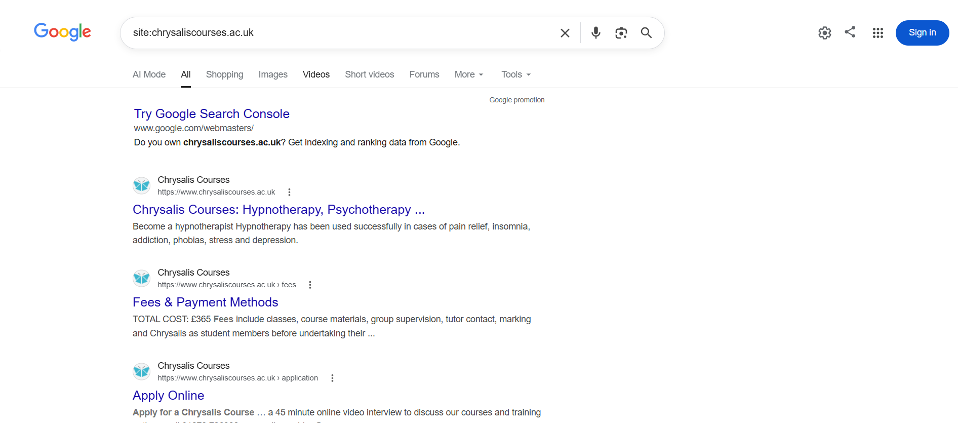 Google Site Search