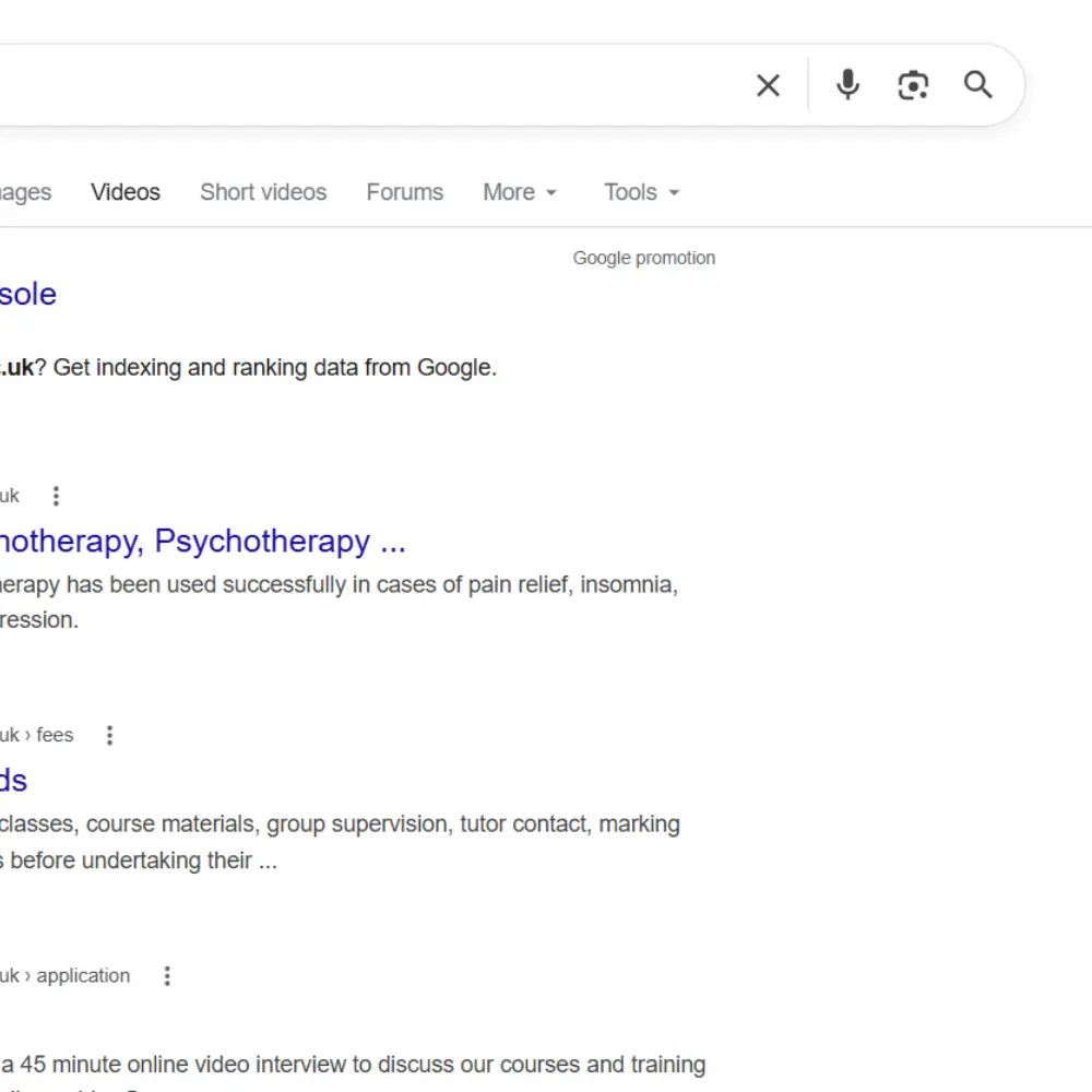 Google Site Search